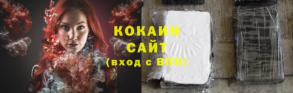 дурь Бронницы