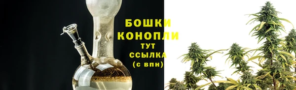 дурь Бронницы