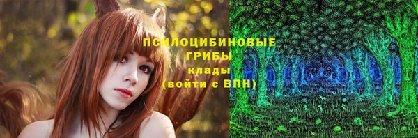 ГАЛЛЮЦИНОГЕННЫЕ ГРИБЫ Бугульма