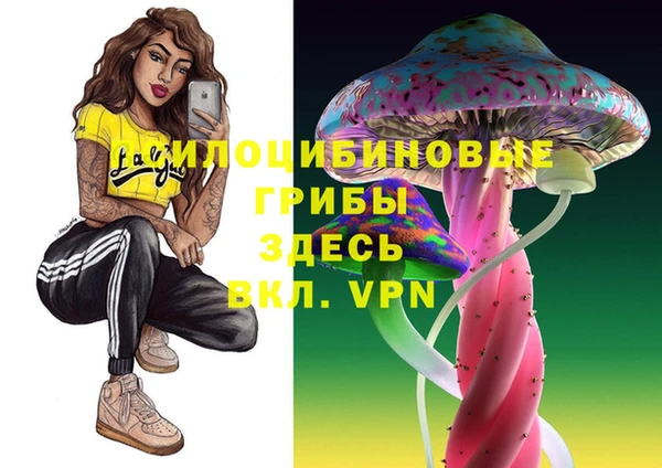ГАЛЛЮЦИНОГЕННЫЕ ГРИБЫ Бугульма
