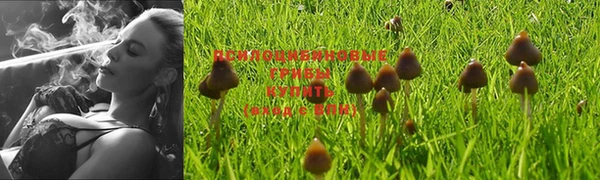 a pvp Покровск